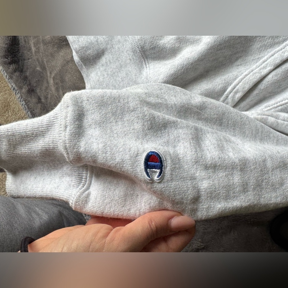 Thick Cotton Men’s Champion Hoodie - Picture 3 of 4